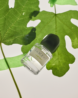 Fascent - I Fig You Eau de Parfum